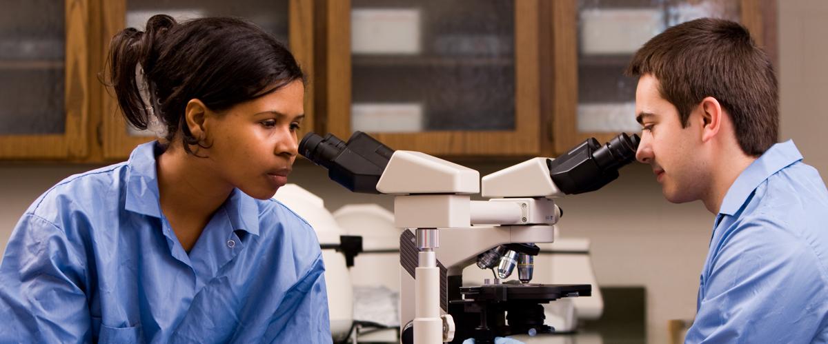 Banner Image - Medical Laboratory Science 